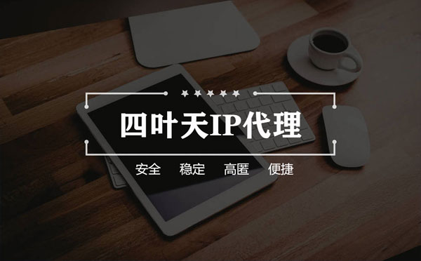 【广州代理IP】如何快速搭建代理IP？怎么检查代理的效果？